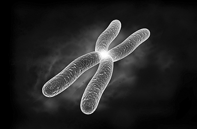 Dr. Chen